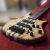 M - 5 corde