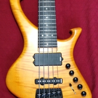 P - 5 corde