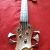 P - 5 corde